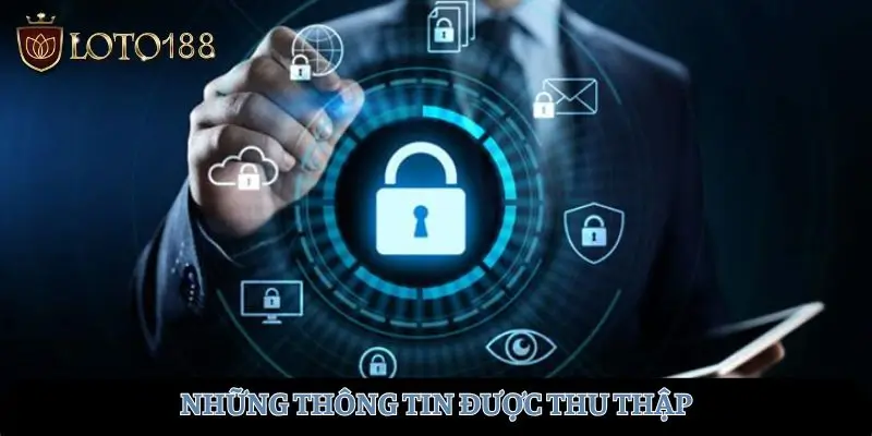 Những thông tin được thu thập