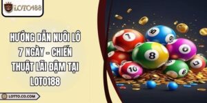 Hướng Dẫn Nuôi Lô 7 Ngày – Chiến Thuật Lãi Đậm Tại LOTO188