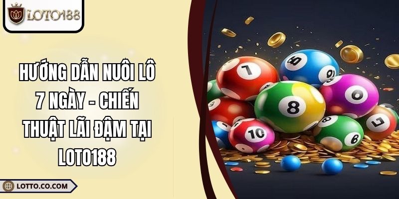 Hướng Dẫn Nuôi Lô 7 Ngày – Chiến Thuật Lãi Đậm Tại LOTO188